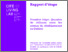 [thumbnail of Therrien_20221021_rapport_etape.pdf]